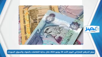 سعر الدرهم الإماراتي اليوم الأحد 30 يونيو 2024 خلال بداية التعاملات بالبنوك والسوق السوداء