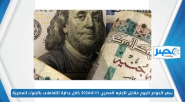 سعر الدولار اليوم مقابل الجنيه المصري 11-6-2024 خلال بداية التعاملات بالبنوك المصرية