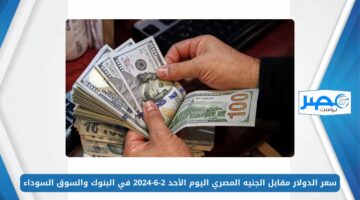 سعر الدولار مقابل الجنيه المصري اليوم الأحد 2-6-2024 في البنوك والسوق السوداء