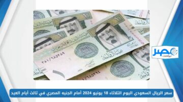 سعر الريال السعودي اليوم الثلاثاء 18 يونيو 2024 أمام الجنيه المصري في ثالث أيام العيد