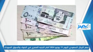 سعر الريال السعودي اليوم الثلاثاء 11 يونيو 2024 أمام الجنيه المصري في البنوك والسوق السوداء