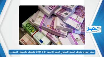 سعر اليورو مقابل الجنيه المصري اليوم الاثنين 24-6-2024 بالبنوك والسوق السوداء EUR/EGP