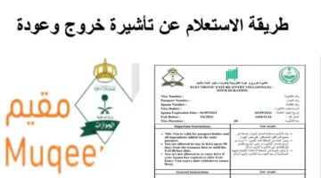 الاستعلام عن صلاحية تأشيرة خروج وعودة للمقيمين في السعودية 1446