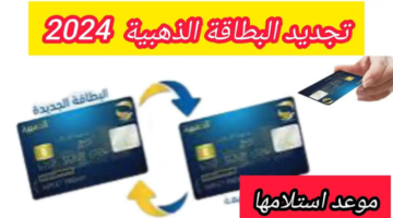 خطوات تجديد البطاقة الذهبية في الجزائر الجديد 2024 الرابط الرسمي eccp.poste.dz
