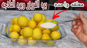 خليكي ست ذكية .. طريقة تخزين الليمون من السنة للسنة في الثلاجة ومن غير ما يغير لون