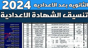 «هتاخد من كام السنادي»… تنسيق الثانوية العامة في بعض محافظات مصر لعام 2024!!