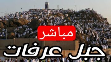 HD بث مباشر جبل عرفات الأن .. مشاهدة وقفة عرفات 1445-2024 بث مباشر Arafah LIVE على قناة الحج السعودية
