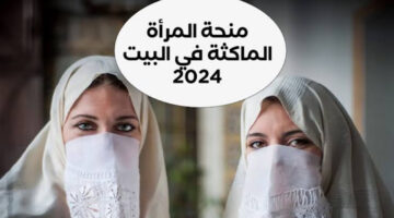 الطريقة الصحيحة هنا.. خطوات التسجيل فى منحة المرأة الماكثة في البيت 2024 بالجزائر والشروط المطلوبة