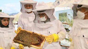 “دعم ريف” خطوات التسجيل في دعم العسل والاستفادة منه 1445