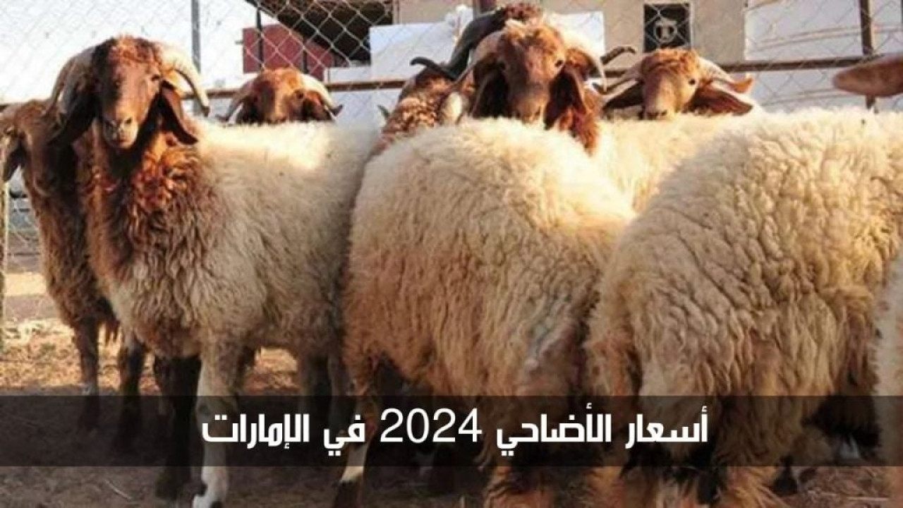 خطوات حجز موعد لذبح الأضاحي في الإمارات 2024.. وهذه قائمة الأسعار 