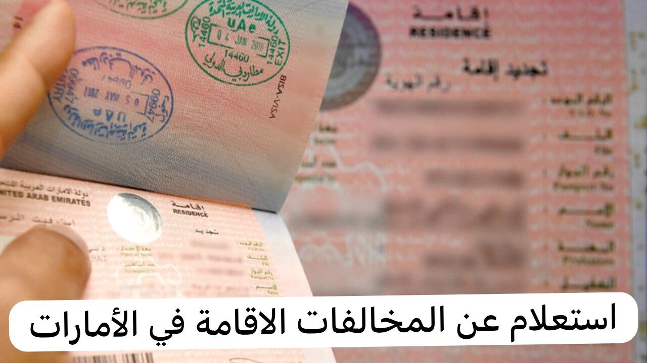 رابط الاستعلام عن مخالفات الإقامة في الإمارات 2024 وطريقة سداد المخالفة