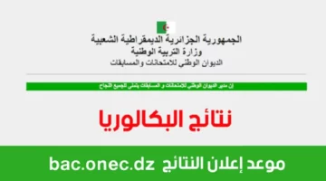 من هُــنا”.. رابط الاستعلام عن نتائج البكالوريا 2024 برقم التسجيل في الجزائر عبر وزارة التربية الوطنية