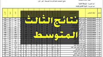 “شوف نتيجتك” رابط نتيجة الثالث المتوسط العراق 2024 الدور الأول بالرقم الامتحاني