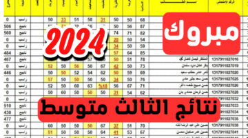 رسميا.. الاستعلام عن نتائج الثالث المتوسط بالعراق 2024 عبر موقع وزارة التربية العراقية