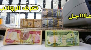 زيادة رواتب المتقاعدين لشهر يوليو 2024 العراق بنسبة 5% ” وزارة المالية توضح ” 