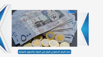 سعر الريال السعودي اليوم في البنوك والسوق الموازية مقابل الجنية المصري الاحد 2 يونيو 2024