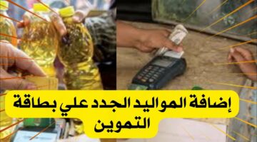 شروط إضافة المواليد على بطاقة التموين 2024 والخطوات من خلال بوابة مصر الرقمية