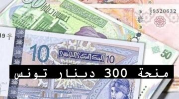 سجل الآن.. طريقة التسجيل في منحة 300 دينار تونس عبر وزارة الشؤون الاجتماعية والشروط المطلوبة
