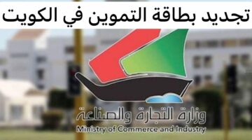 “بصورة بطاقة الهوية”.. طريقة تجديد بطاقة التموين في الكويت 2024 والأوراق المطلوبة