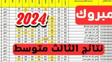 وزارة “التربية العراقية” توضح طريقة نتائج الثالث المتوسط بالرقم الامتحاني 2024 خطوة بخطوة