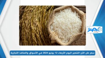 الكيلو وصل كام؟.. سعر طن الأرز الشعير اليوم الأربعاء 12 يونيو 2024 في الأسواق والمنافذ التجارية