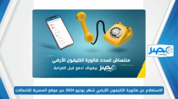 ادفع قبل الغرامة.. الاستعلام عن فاتورة التليفون الأرضي شهر يونيو 2024 عبر موقع المصرية للاتصالات