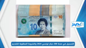 التسجيل في منحة 300 دينار تونسي 2024 والشروط المطلوبة للتقديم