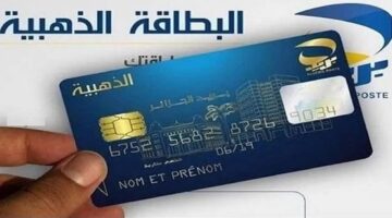 الحكومة الجزائرية توضح.. كيفية التقديم للحصول على البطاقة الذهبية والمعايير التي يجب توافرها عند التقديم