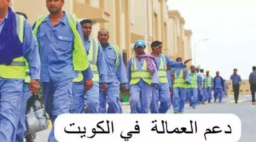 بالتفصيل.. أهم متطلبات الاستفادة من برنامج دعم العمالة الكويت 2024 وخطوات التسجيل