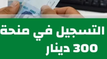 “متاح هنا”.. رابط وخطوات التسجيل في منحة 300 دينار تونسي 2024