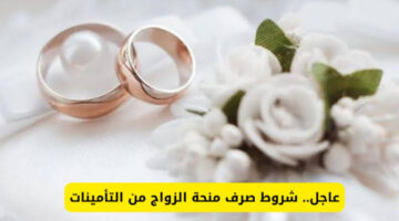 التسجيل فتح دلوقتي.. بالتفاصيل طريقة التقديم في منحة الزواج 2024 مصر والشروط المطلوبة والمبلغ المستحق