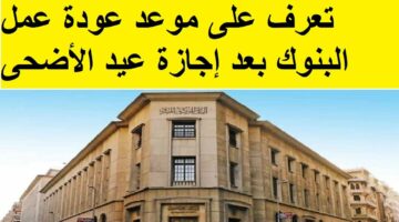 البنك المركزي يوضح موعد عودة عمل البنوك في مصر بعد انتهاء أجازة عيد الأضحى 2024
