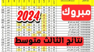 هسه ظهرت.. نتيجة الثالث المتوسط دول اول داخل جميع العراق.. الف مبروك للناجحين