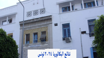 (دورة جوان).. نتائج البكالوريا 2024 تونس حسب الولايات وزارة التربية التونسية