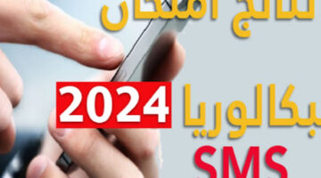 “عبر خدمة الإرساليات القصيرة” طريقة الاستعلام عن نتائج البكالوريا تونس 2024