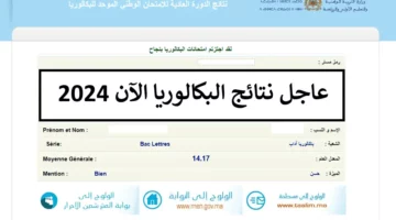 “الأن” رابط نتائج البكالوريا المغرب 2024 برقم المسار عبر موقع الوزارة وباك حر وخدمة SMS