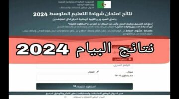 الآن.. ظهور نتائج البيام 2024 bem.onec.dz نتائج شهادة التعليم المتوسط في الجزائر بالرابط الرسمي وزارة التربية الوطنية الجزائرية