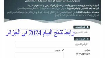 رسميًا رابط نتائج البيام 2024 في الجزائر وخطوات الاستعلام bem.onec.dz