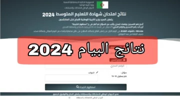 “استعلم الآن”.. نتائج البيام في الجزائر 2024 وخطوات الحصول عليها