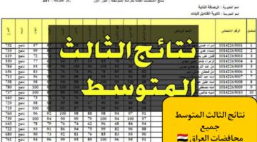 هسه ظهرت.. رابط الحصول على نتائج الثالث المتوسط دور اول عموم العراق.. مليار مبروك