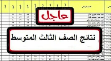 رسميا.. خطوات الحصول على نتيجة تالت متوسط العراق القادسية 2024 بالرقم الأمتحاني