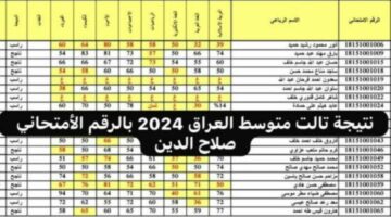 أسرع في الدخول على الموقع الحصري لمعرفة نتيجة تالت متوسط العراق 2024 بالرقم الأمتحاني صلاح الدين