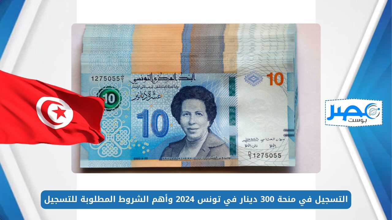 التسجيل في منحة 300 دينار في تونس 2024 وأهم الشروط المطلوبة للتسجيل social.gov.tn
