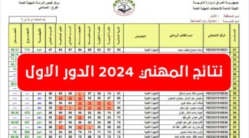 “ظهرت أخيرًا” استعلم الآن عن pdf نتائج السادس مهني 2024 العراق بجميع الفروع الدور الأول 2024