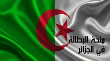 شروط تجديد منحة البطالة فى الجزائر 2024