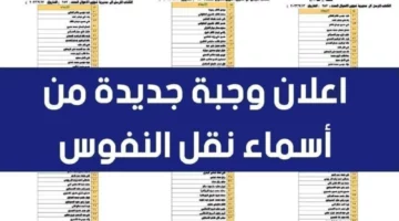 رابط الاستعلام عن أسماء نقل النفوس الوجبة الجديدة 2024 عموم العراق والشروط المطلوبة