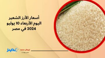 وصل لكام النهاردة.. أسعار الأرز الشعير اليوم الأربعاء 10 يوليو 2024 في مصر