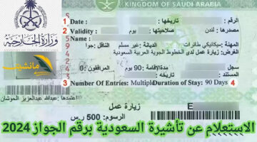 visa.mofa.gov.sa .. بالخطوات طريقة الاستعلام عن تأشيرة السعودية برقم الجواز 2024