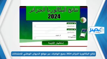 ظهرت رسميًا.. نتائج البكالوريا الجزائر 2024 جميع الولايات برقم التسجيل عبر موقع الديوان الوطني للامتحانات bac.onec.dz