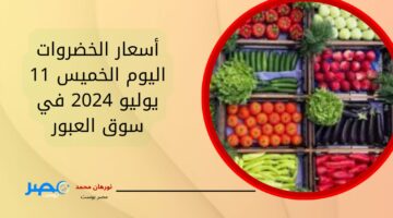 أسعار ما بين إنخفاض وارتفاع… أسعار الخضروات اليوم الخميس 11 يوليو 2024 في سوق العبور